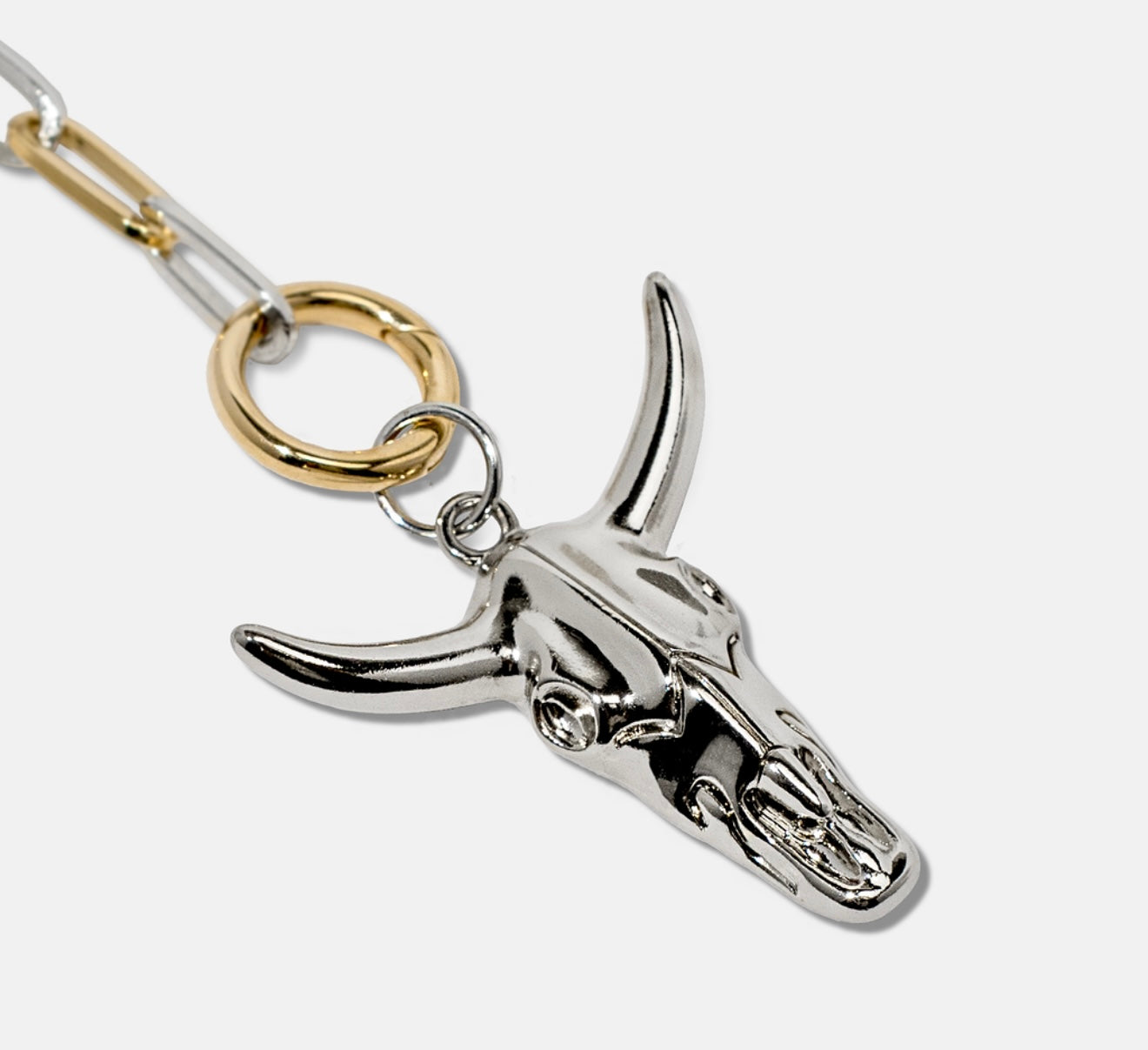 Two-Tone Paperclip Necklace + Charm Extender